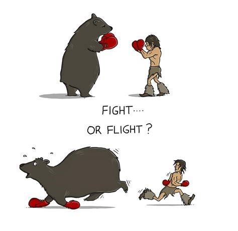 Fight or flight?.